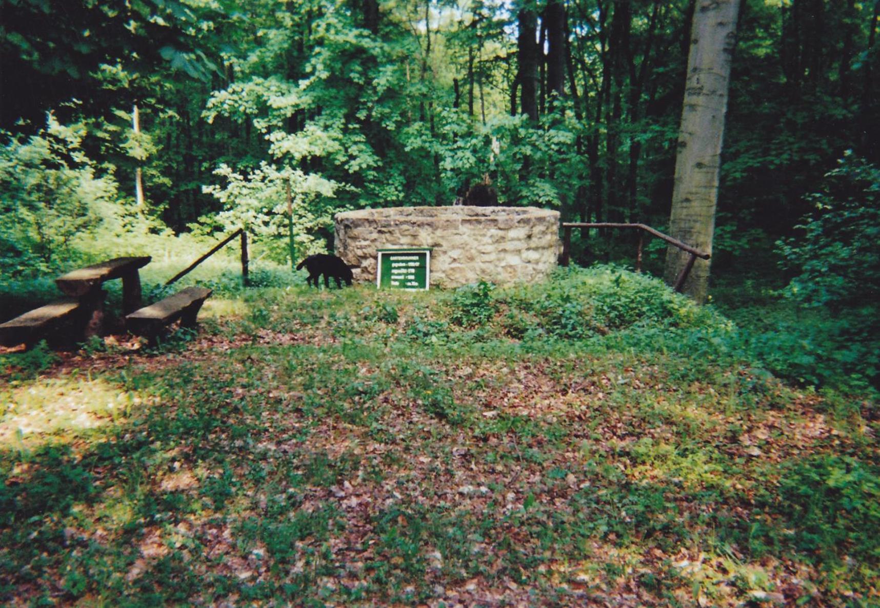Hotel Garni Zum Rebstock Naumburg  Exteriér fotografie