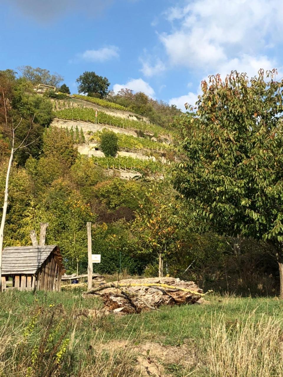 Hotel Garni Zum Rebstock Naumburg  Exteriér fotografie